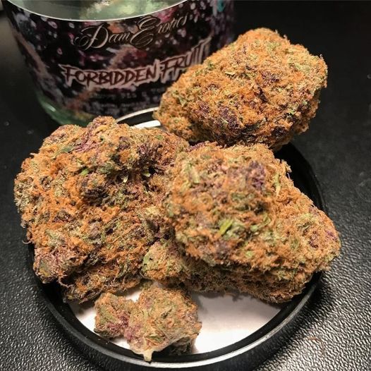 WhatsApp+1(719)924-5623 buy weed Dubai #Buy Weed Qatar #Buy Weed Kuwait #Buy Weed Bahrain #Buy #Weed #Oman #Buy Weed UAE #Buy Weed Abu Dhabi @Buy Weed Doha Qatar #@Buy Weed Ajman #@Buy Weed Online #@Buy Weed UK #@Buy Weed Iceland #*@Buy Weed All Countries